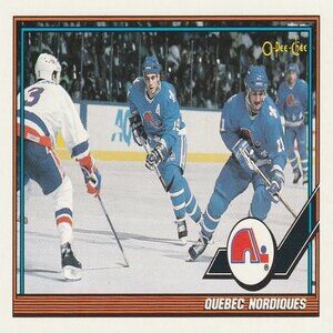 Quebec Nordiques Final Standings 1990-91